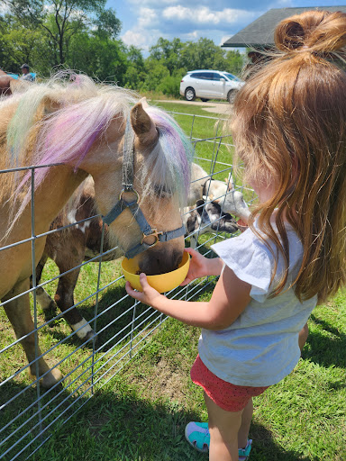 Cattail Critters Mobile Petting Zoo