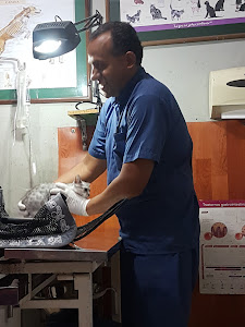 San Bernardo veterinary 3