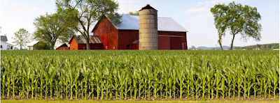 Iowa Land Sales & Farm Management