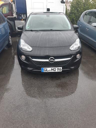 Swinkels Frank Automobile - Thumbnail