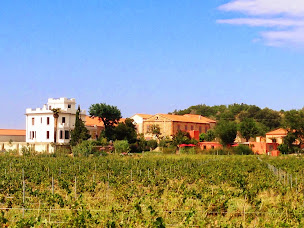 Photo n°52 de Clos des Aspres - Maison d'hôtes & Gite - Lieu de réception - Huile d'olive à Ortaffa (Lieu de mariage)