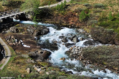 Photos of Myrdal Fjellstove