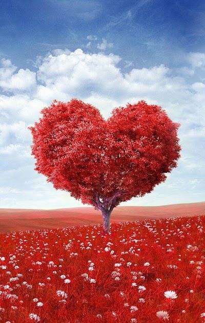 Photos of Holiday Inn Express & Suites San Antonio NW near SeaWorld