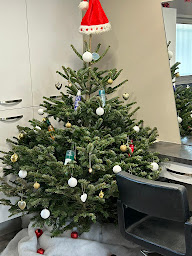 Photo n°8 de Style Coiffure à Surzur (Salon de coiffure)