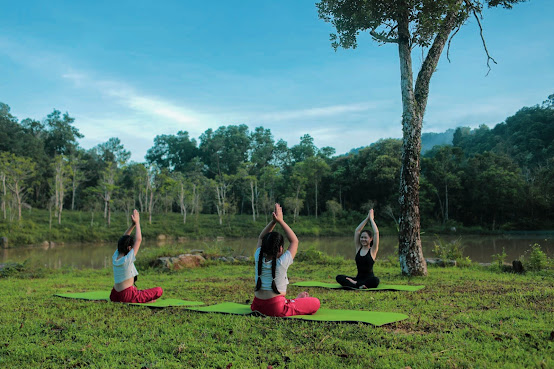 Legacy Yen Tu Hotel Uong Bi - MGallery Collection by null