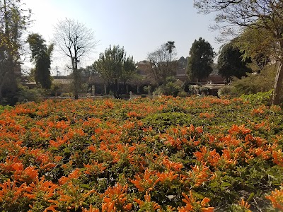 Photos of The Garden of Dreams