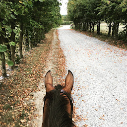 Photo n°5 de Ecurie Ar Goanag à Baulon (Centre équestre)