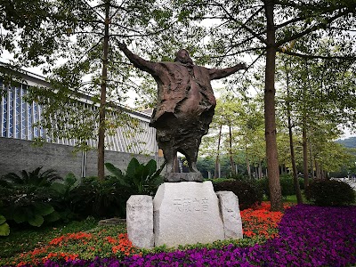 Photos of Shenzhen Concert Hall