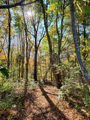 Keating Woods - Visual