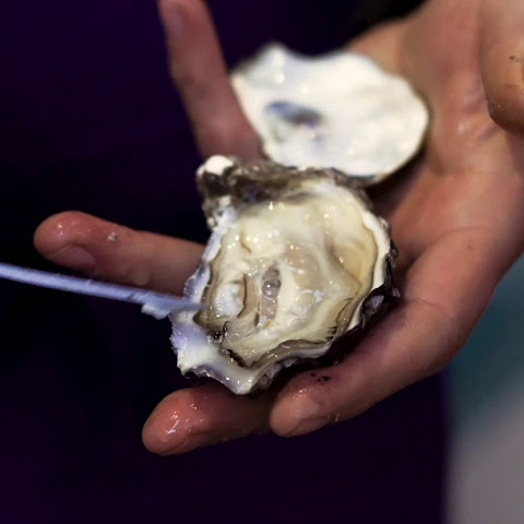 El Casal Café Bar - Tapas, Vinos y Ostras by null