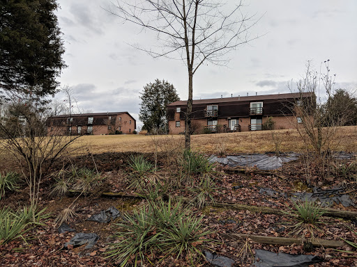 Singleton Properties - Visual