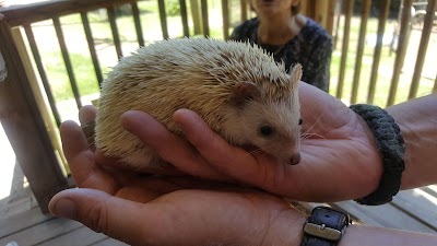 North Georgia Wildlife Park