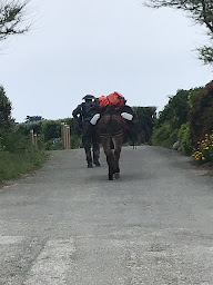 Photo n°12 de Camping de Penn Enez à Landéda (Terrain de camping)