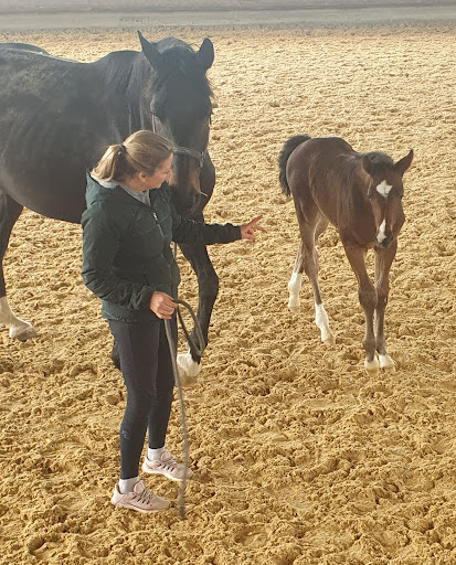 Reitanlage im Greuth, Familie Eberhardt - Thumbnail
