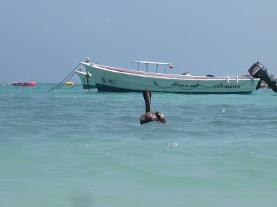 Photos of Akumal