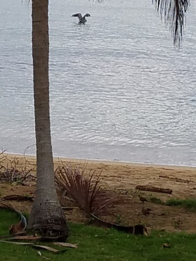 Photos of Playa Almirante