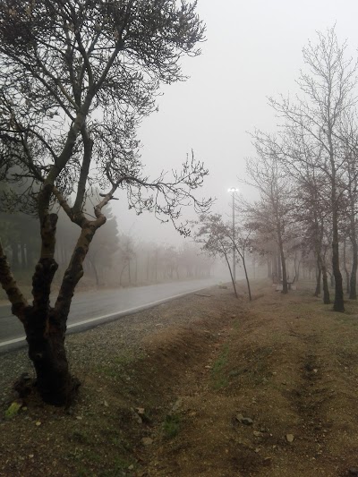 park