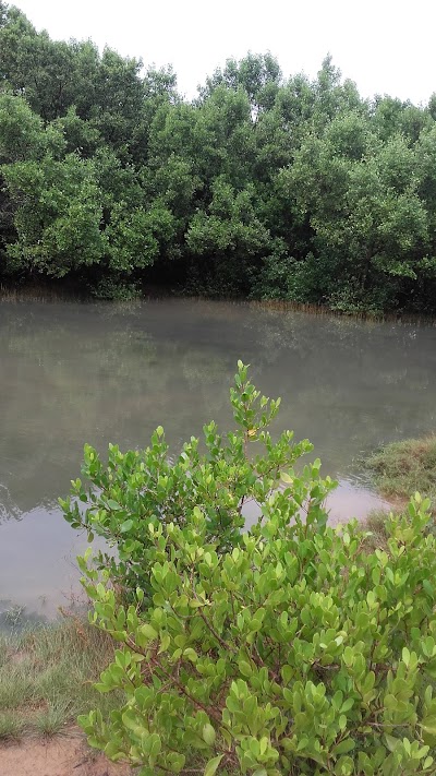 Photos of Rock Pool Residance and restaurant's