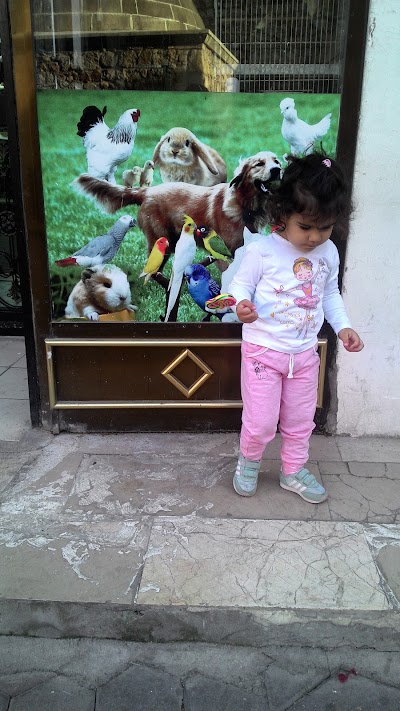 Photos of Tokat Il Emniyet Mudurlugu