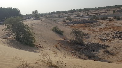 Photos of Mushrif Park