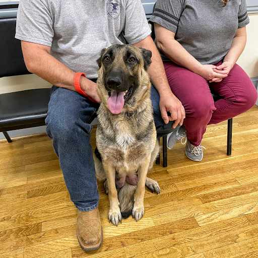 Carolina Value Pet Care - Thumbnail