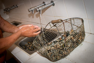 Photo n°28 de Camping Coté Plage à Saint-Jean-de-Monts (Agence de location de mobile homes)