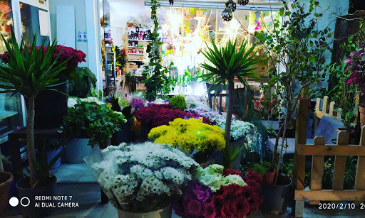GÜNEŞ ÇİÇEK EVİ & ORGANİZASYON - MUĞLA/BODRUM