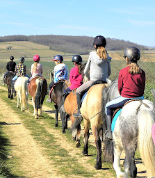 Photo n°5 de PONEY CLUB DE LAIZÉ à Laizé (Centre équestre)