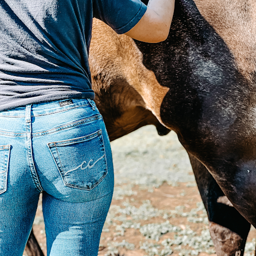 Mavericks Western Wear - Thumbnail