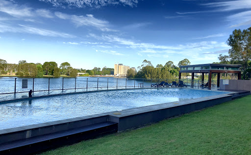 Mark Stafford | Ray White | Gold Coast Real Estate - Thumbnail