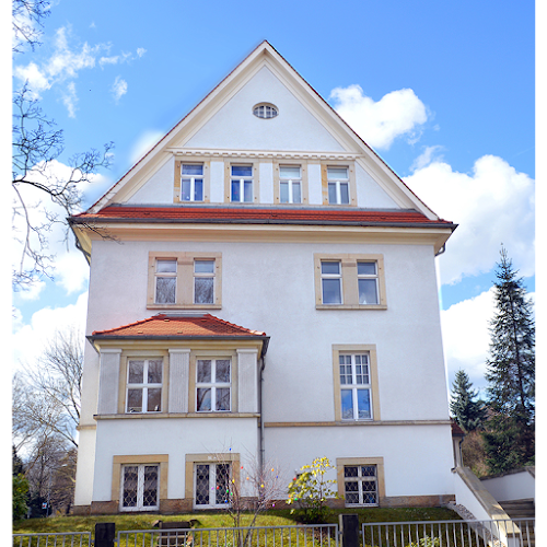 Wollmerstaedt Synapsys