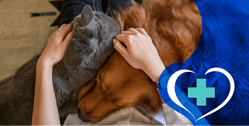 Carolina Value Pet Care