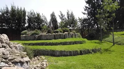 Photos of Centre &eacute;questre Les cigones de Bouznika - CELC