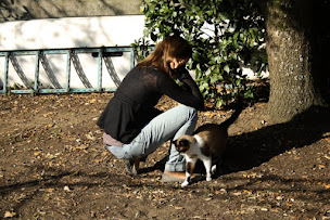 Photo n°5 de Comportementaliste animalier Nantes 44 - Audrey Marquet - Comportementaliste chat & chien à Les Sorinières (Dresseur d'animaux de compagnie)