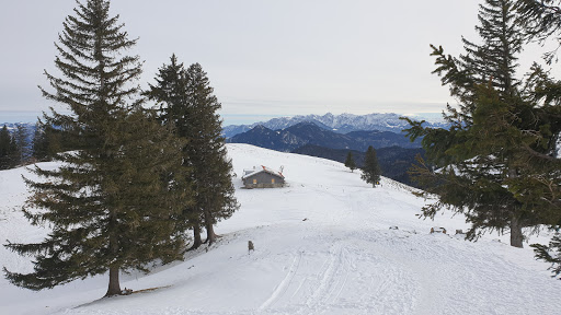 Huberalm - Visual
