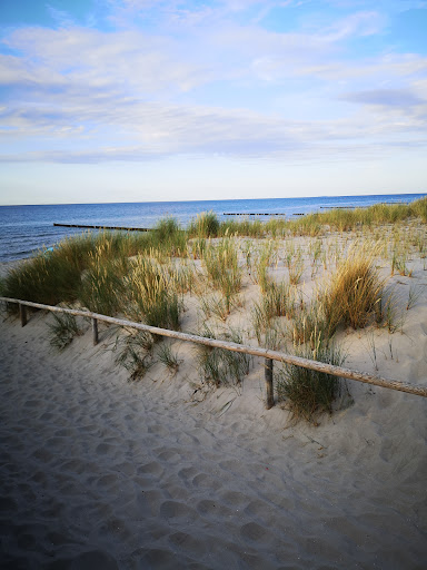 Ostsee - Thumbnail