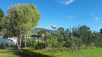 Photos of Clove Tree House