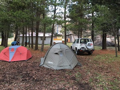 Photos of Kingo Camp