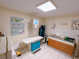 Photo n°35 de Clinique Vétérinaire OVETO Auch à Auch (Clinique vétérinaire)