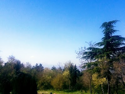 Photos of Hotel Vodno
