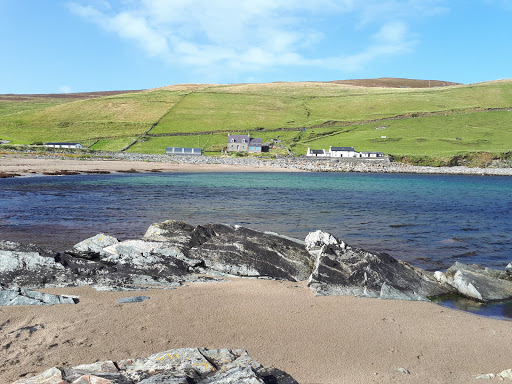 Norwick - Visual