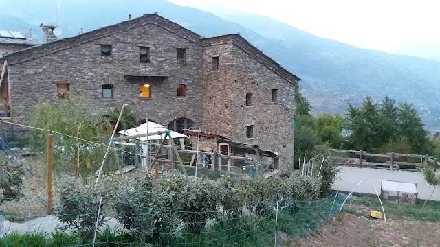 The Nut And The Witch