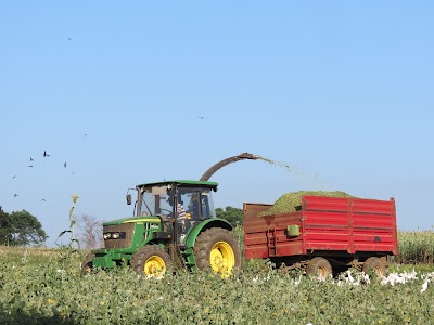 Photos of Ridiyagama NLDB farm