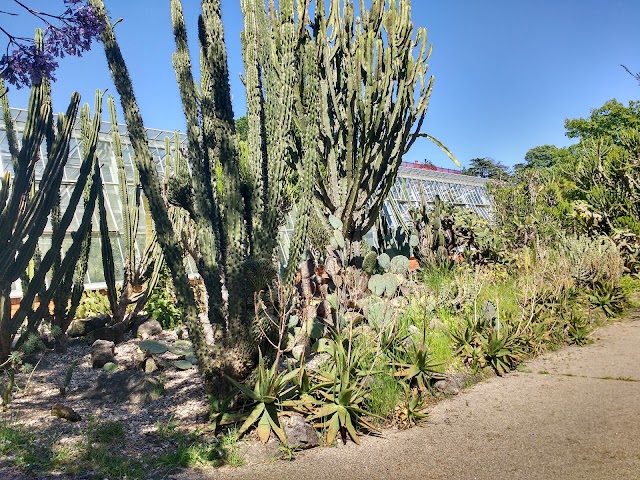 Jardim Botânico do Porto