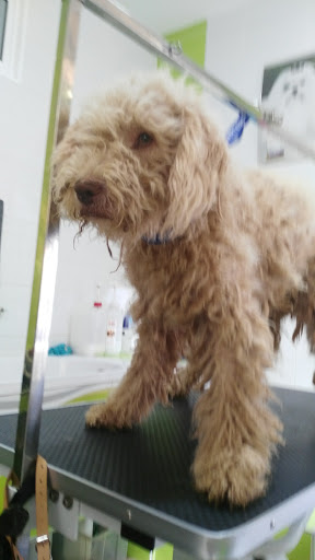 Veterinary Animal Care Center - Thumbnail