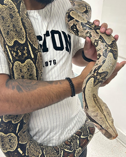 Vet Venus Clínica Veterinária Popular 24 Horas Guarulhos