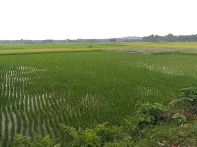 Photos of Banshkhali Eco Park