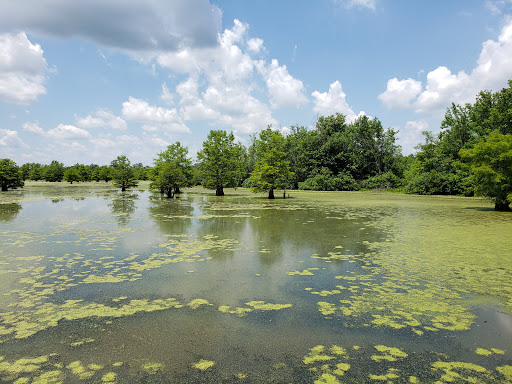 Barkhausen Cache River Wetlands Center - Thumbnail