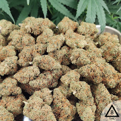 Photo of THC Corner HTX