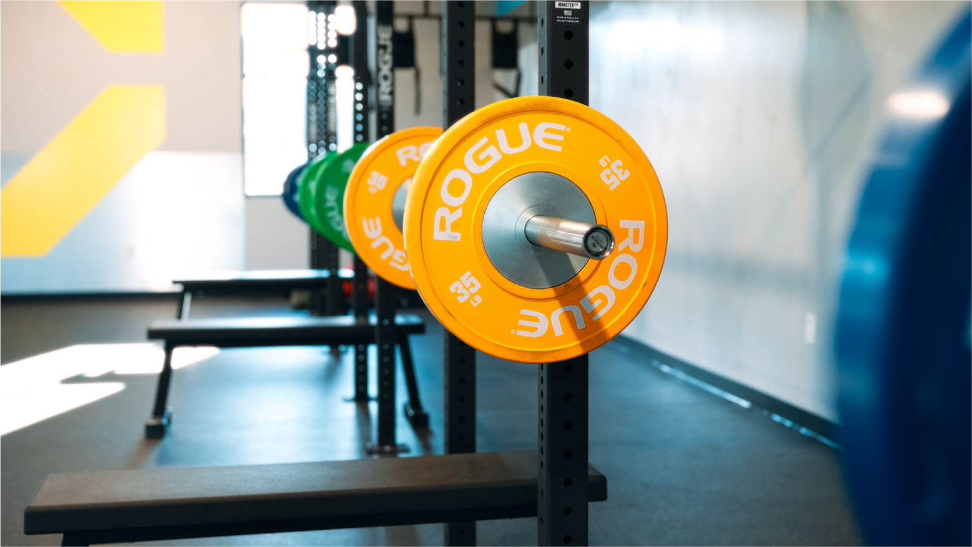 Iron Tribe Fitness photo 15